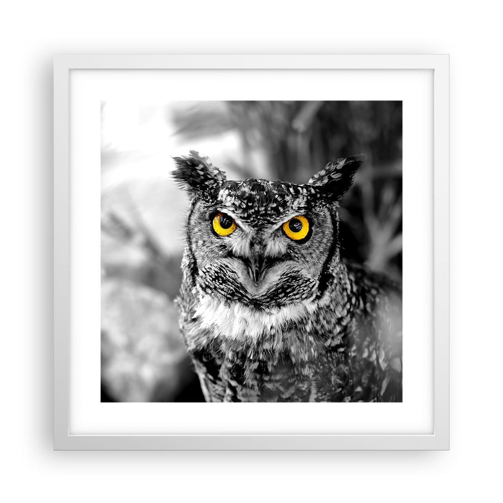 Gerahmtes Poster - Weißer Rahmen - Eule Vogel Natur - 40x40 cm - Wand Bild - Wanddeko - Wandbilder - Kunstposter - Wandposter - Bilderrahmen - Bil...