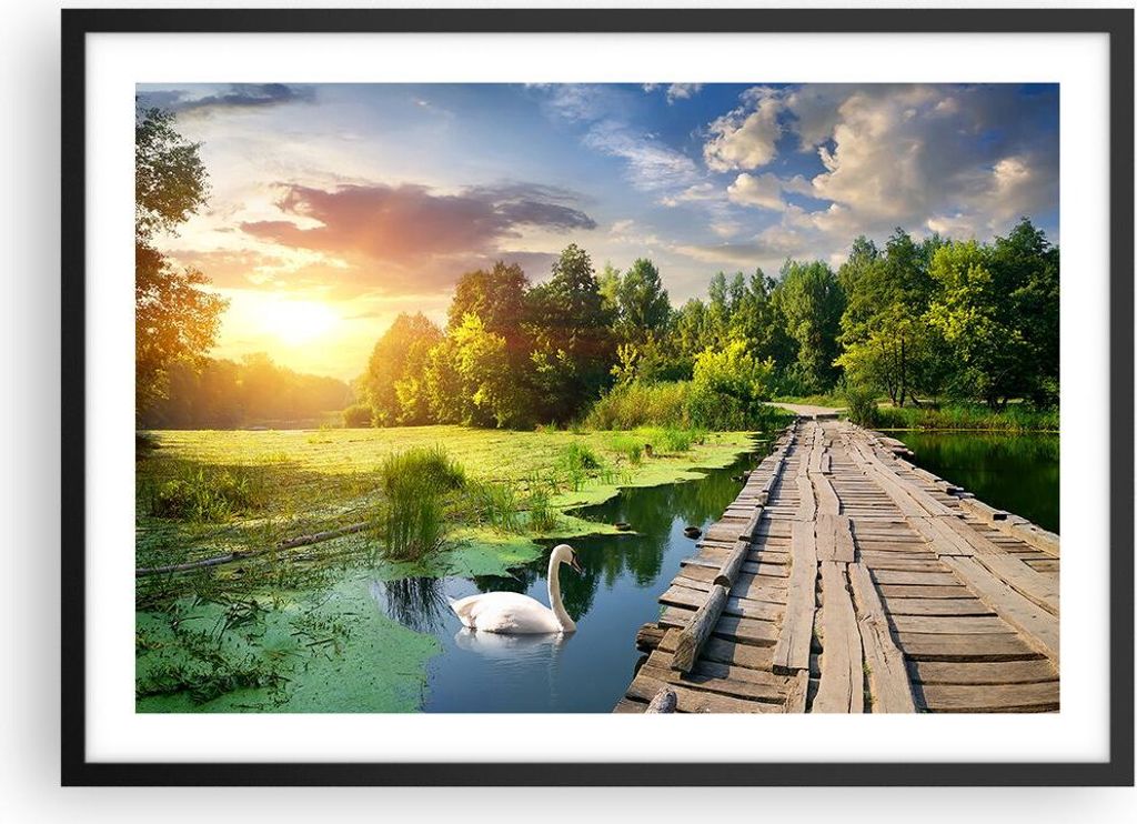 Gerahmtes Poster - Schwarzer Rahmen - Architektur Promenade Schwan Landschaft - 70x50 cm - Wand Bild - Wanddeko - Wandbilder - Wandposter - Bilderr...