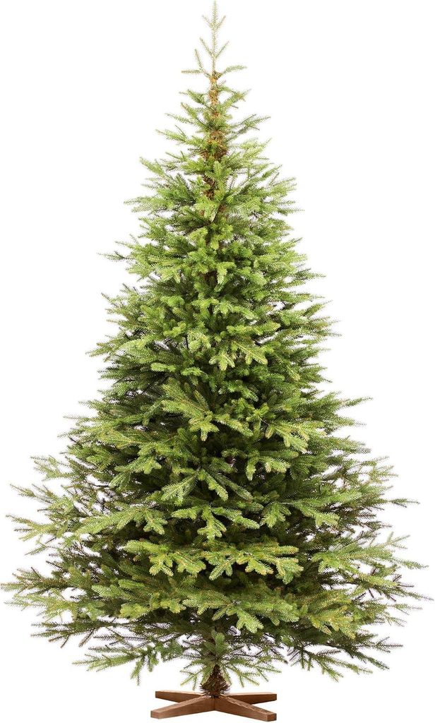 FAIRYTREES Sapin de Noël Artificiel 220 cm Nordmann Image du produit 