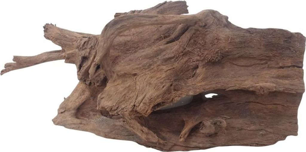 XL Mangrovenwurzel Nr.3062 Holz Deko Aquascaping