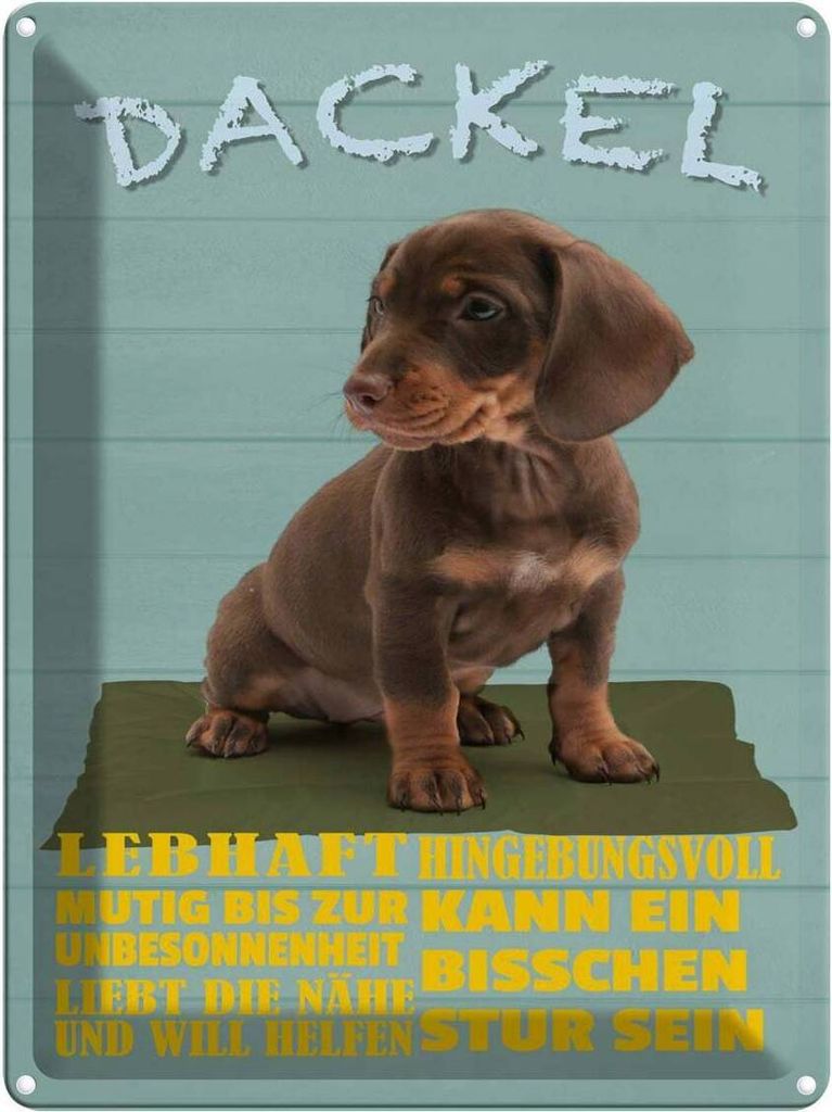 vianmo Blechschild 40x30 cm Dackel Hund lebhaft mutig stur