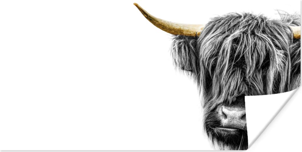 MuchoWow Poster Schottischer Highlander - Schwarz - Gold 40x20 cm - Poster für die Wand - Poster Schlafzimmer
