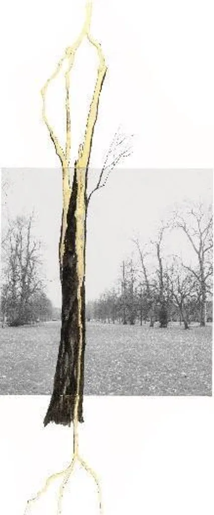 Comprendre Giuseppe Penone Thoughts in the Roots : Guide art complet