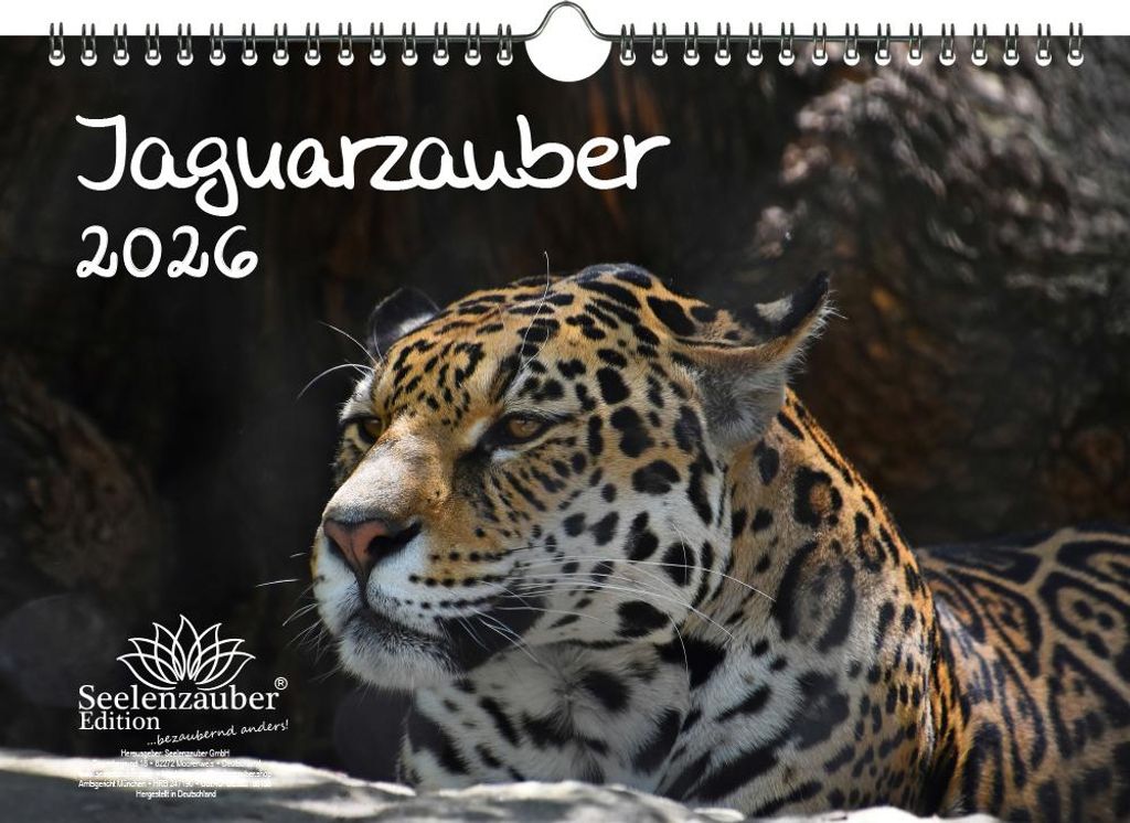 Jaguarzauber DIN A4 Kalender für 2026 Jaguar - Seelenzauber