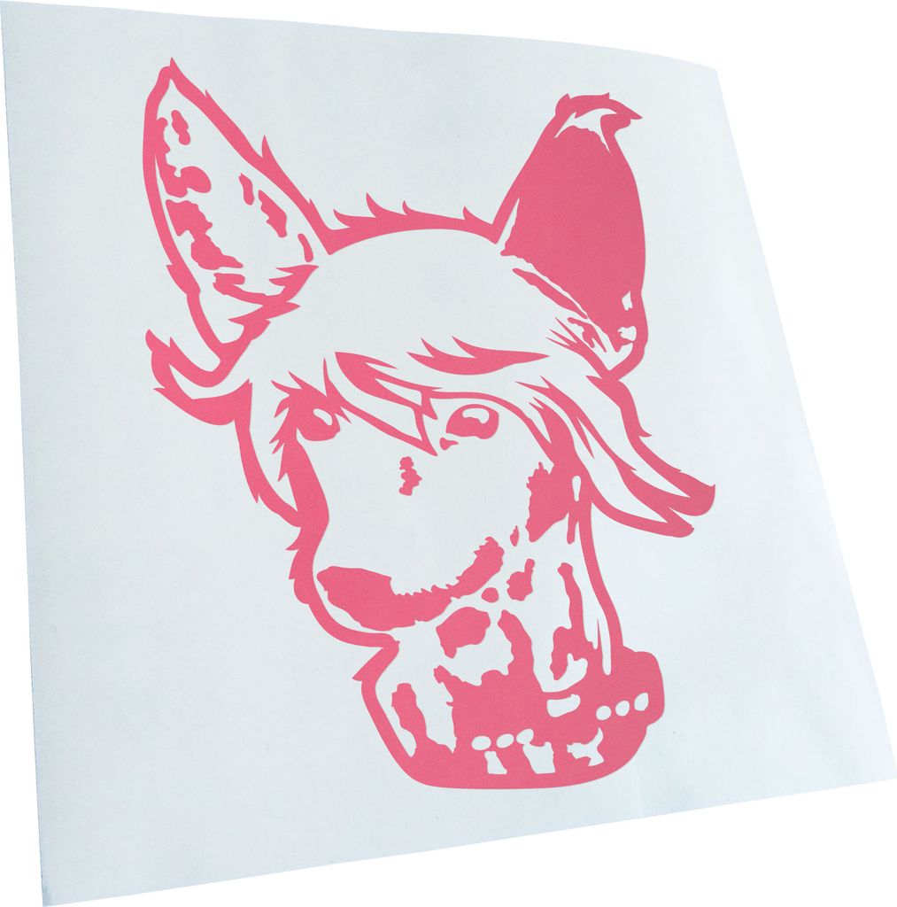 Kiwistar - Autoaufkleber - Chinese Crested Hund - Hellrosa - 50x38cm - Aufkleber für Auto, Laptop, Fahrrad, LKW, Motorrad mehrfarbig JDM Decal Racing
