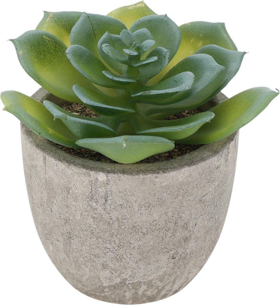 Künstliche Sukkulente Pflanze Typ 9 Büro Schreibtisch Dekoaccessoires Künstliche Pflanzen Aus Pulpe Für Innenr?ume Zum Dekorieren Von Zimmern B...