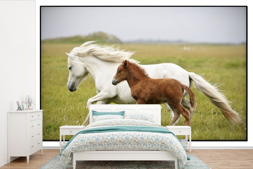 MuchoWow Fototapete für Wohnzimmer oder Schlafzimmer Wandtapete Vinyl Motivtapete Pferde - Tiere - Gras - 360x240 cm - Vinyl-Tapete