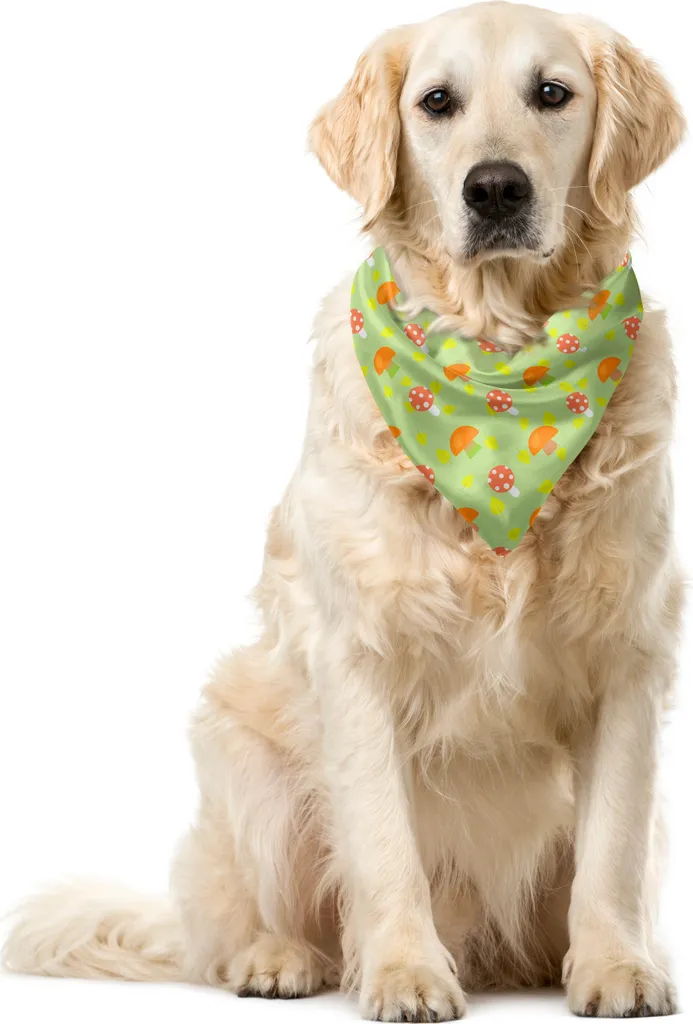 ABAKUHAUS Bandana autunnale per animali domestici, Vibrant Mushroom Scribble, 40x40 cm, verde pallido arancione