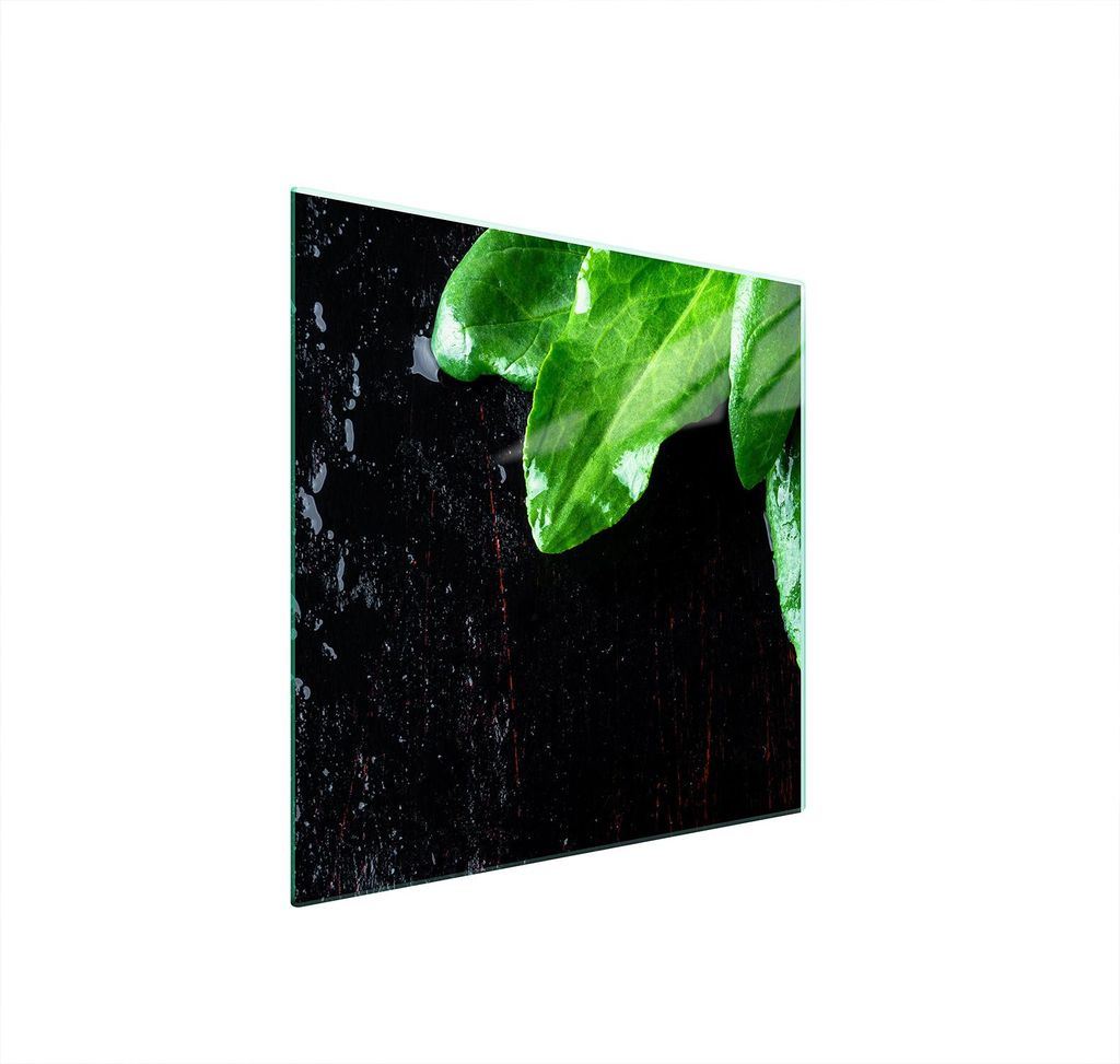Glasschutzplatte Für Herd 50X52 Basil