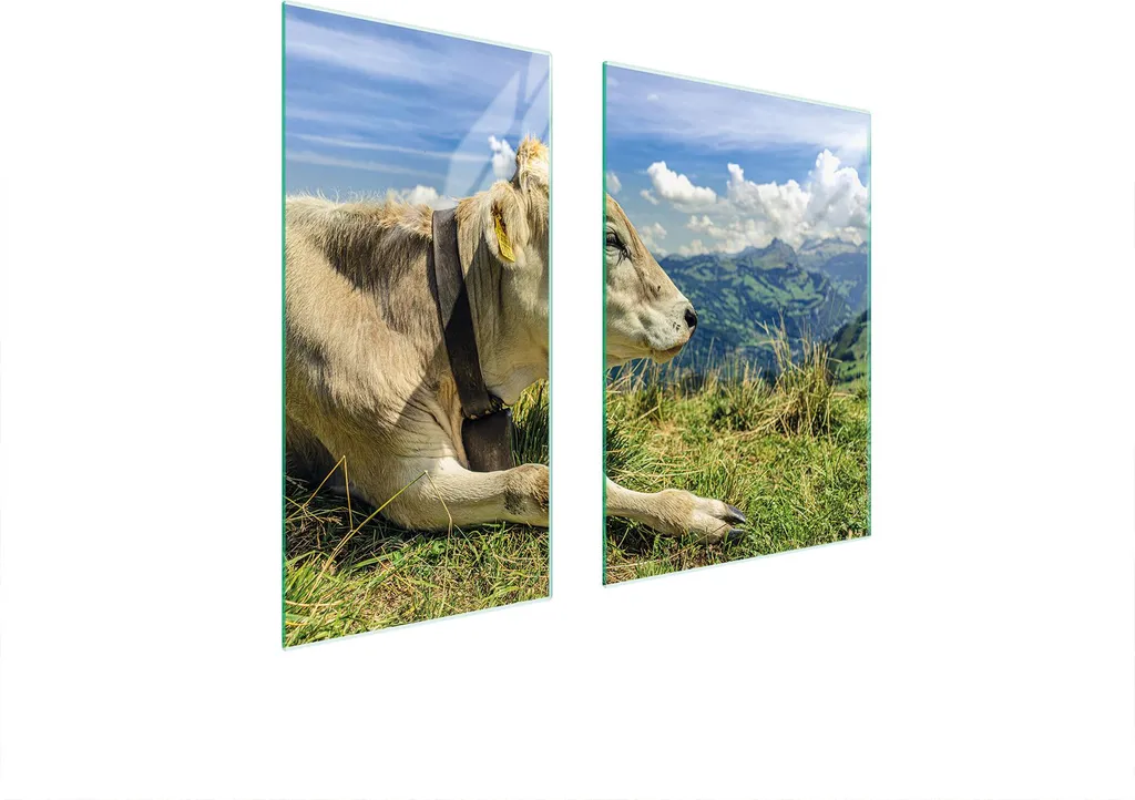 Piastre coprifornelli 2 pezzi 75x52 copertura piano cottura in ceramica tagliere in vetro montagne di mucca