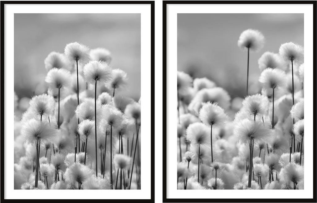 BILDPOSTER IM RAHMEN 53x73cm Diptychon 2er-Set Gemälde Pusteblumen Boho P2074