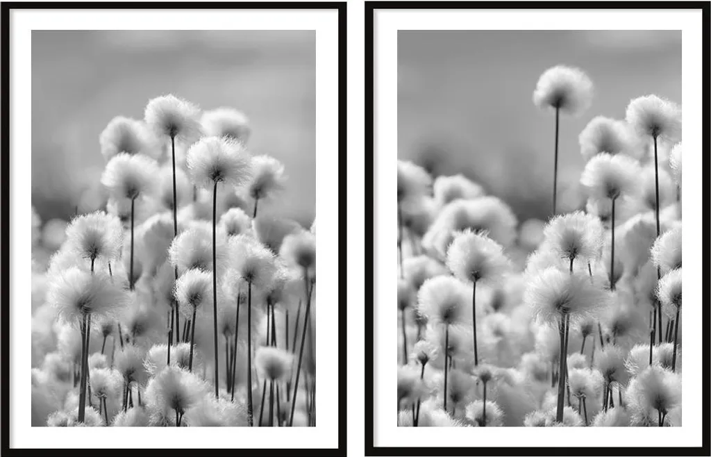 Set de 2 Tableaux Pissenlits Boho 53x73cm Bildposter en Cadre P2074