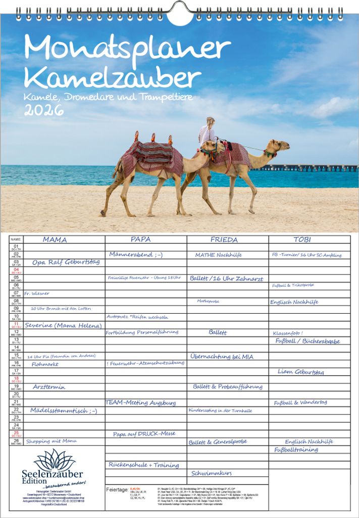 Tierzauber Kamele Dromedare Trampeltiere Planer Familienplaner 4 Spaltenplaner DIN A3 Wüste Afrika Kalender für 2026 - Seelenzauber