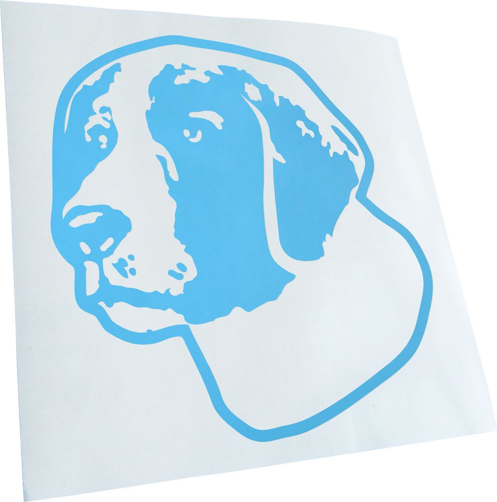 Kiwistar - Autoaufkleber - Irish red and White Setter Hund - Lichtblau - 30x27cm - Aufkleber für Auto, Laptop, Fahrrad, LKW, Motorrad Mehrfarbig J...