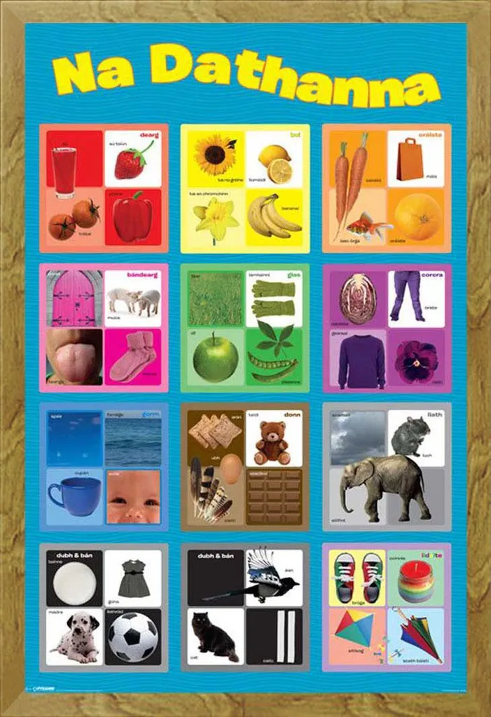 Poster Educativo Colori Irlandese con Cornice Shinsuke® - Kit Completo