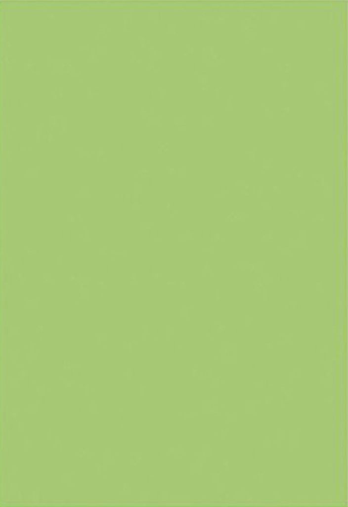 folia Moosgummi (B)290 x (H)400 mm hellgrün 2 mm 5 Stück