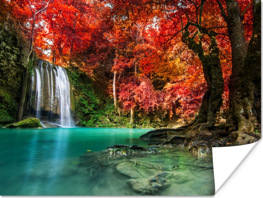 MuchoWow Poster Wasserfall - Baum - Rot - Herbst - Wasser 80x60 cm - Kunst für zu Hause