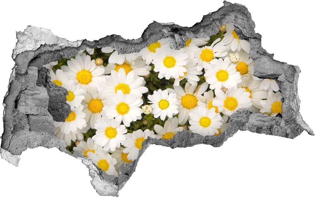 Selbstklebender Loch-3D-Aufkleber 95x73 cm Gänseblümchen