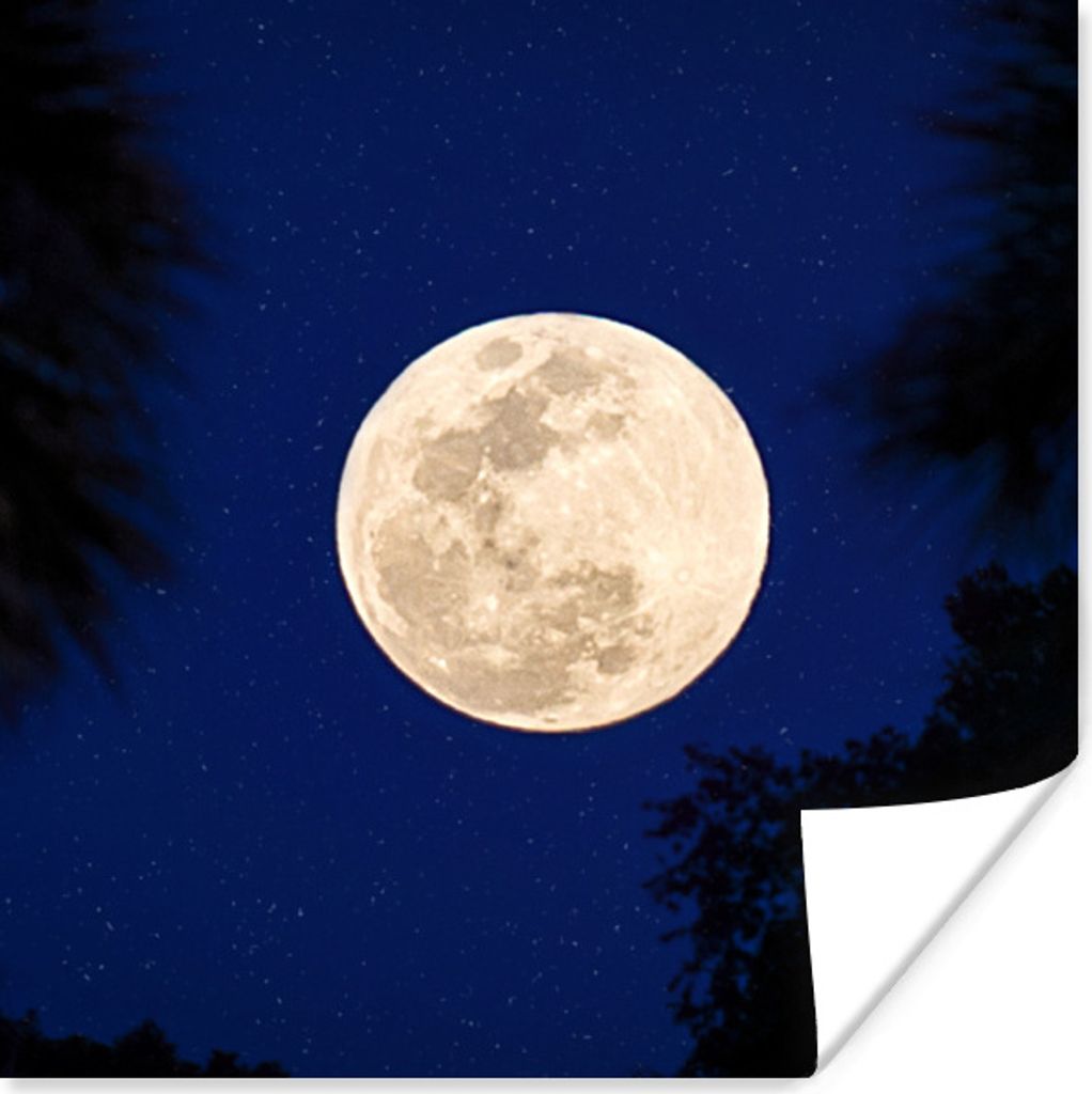 MuchoWow Poster Mond - Bäume - Nacht 75x75 cm - Wand Dekoration