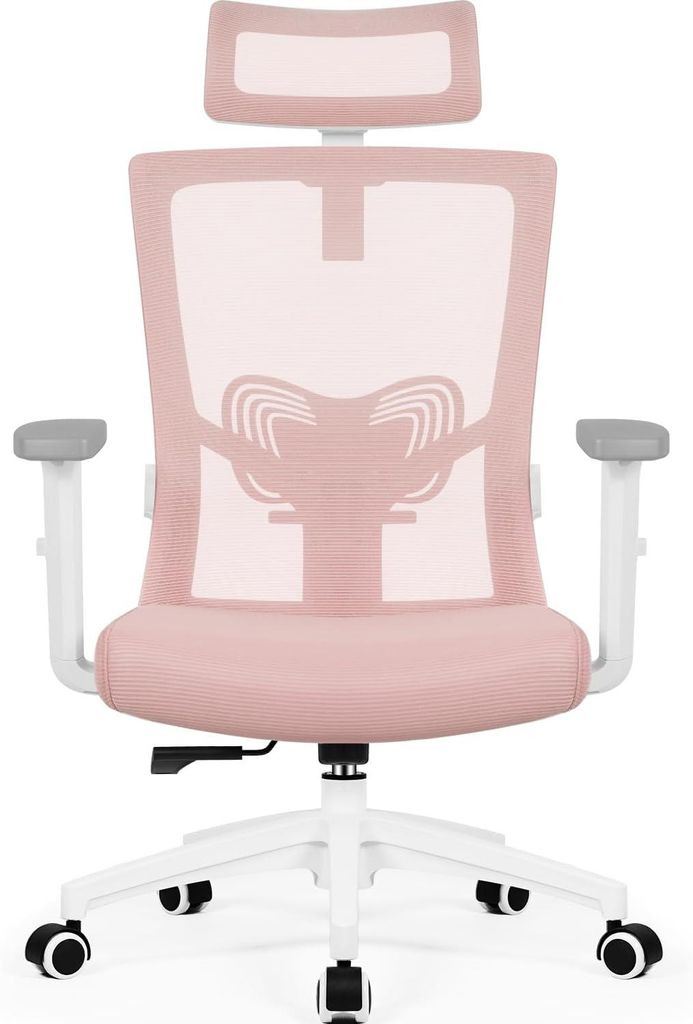 Aiibot Bürostuhl Ergonomisch, Schreibtischstuhl mit Verstellbarer Kopfstütze, Armlehnen, Lendenwirbelstütze, Chefsessel, Drehstuhl, Bürostuhl 1...