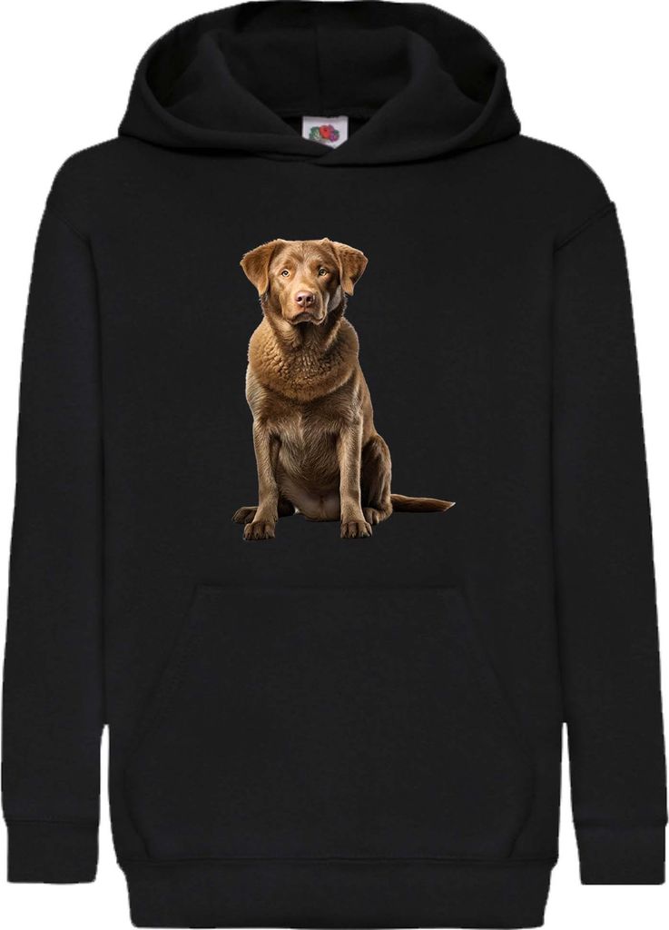 Kinder Kapuzenpullover Dogs Breeds Chesapeake Bay Retriever Dog Breed 007, 12-13 Jahr - 152 / Schwarz