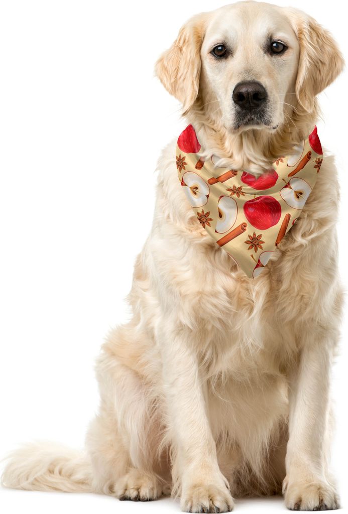 ABAKUHAUS Apfel Haustier Bandana, Sternanis Zimt Drink, 40x40 cm, Beige Cinnamon Red
