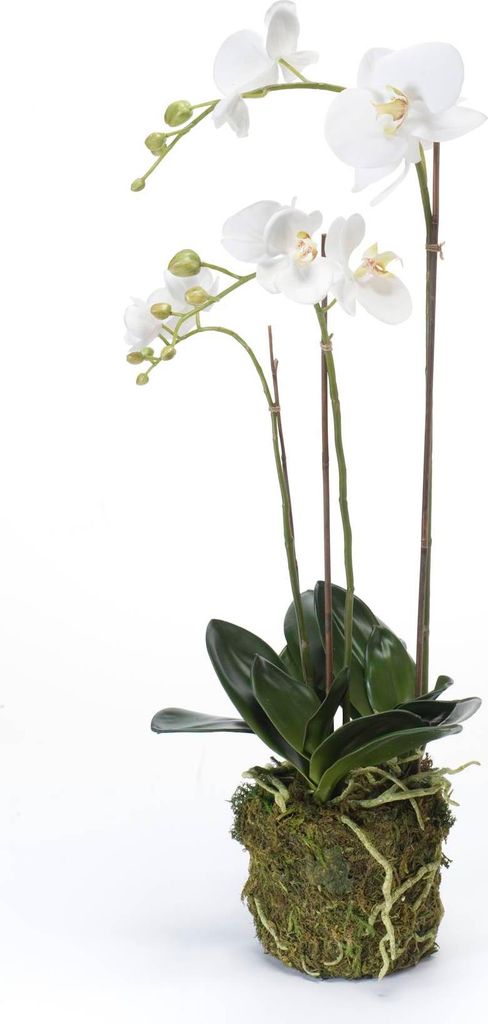 artplants.de Künstliche Orchidee Phalaenopsis Pabla im Erdballen, weiß - gelb, 70cm - Hochwertige Kunstorchidee