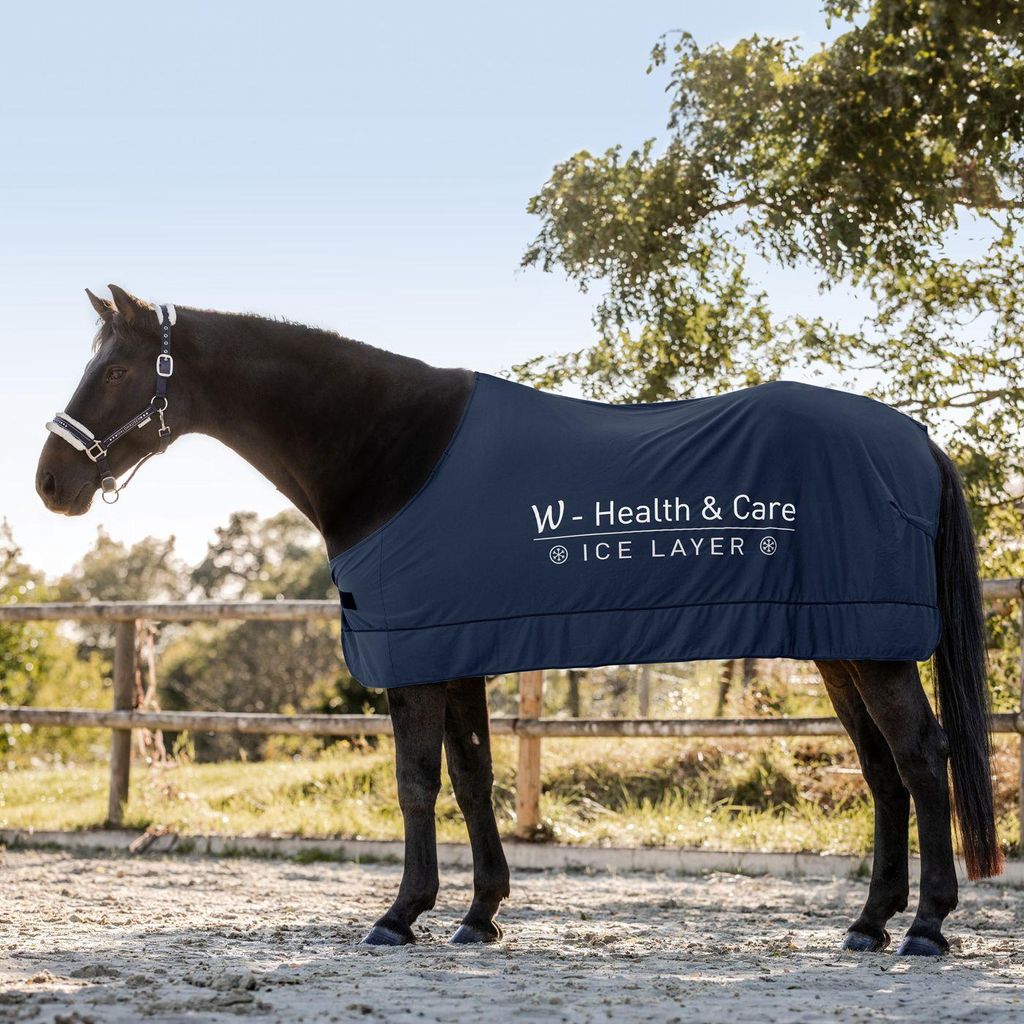 Koc chłodzący Waldhausen Health + Care Ice Layer Blanket Zdjęcie produktu 