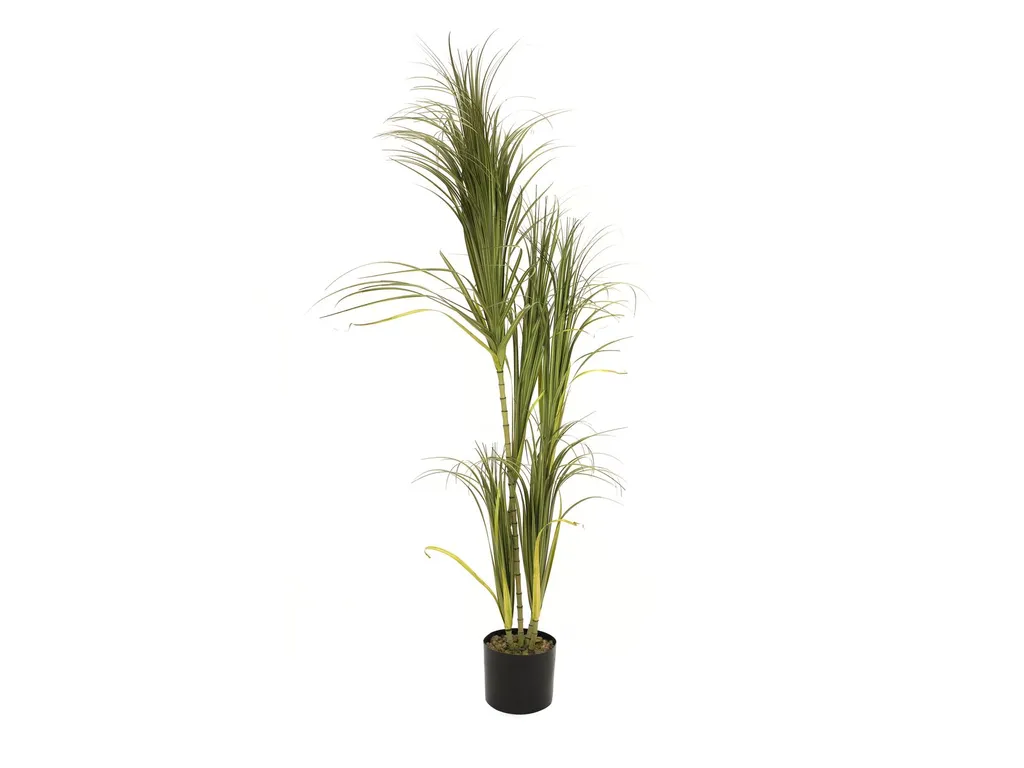Dracéna artificiel 215cm sans entretien - Solution verdure durable
