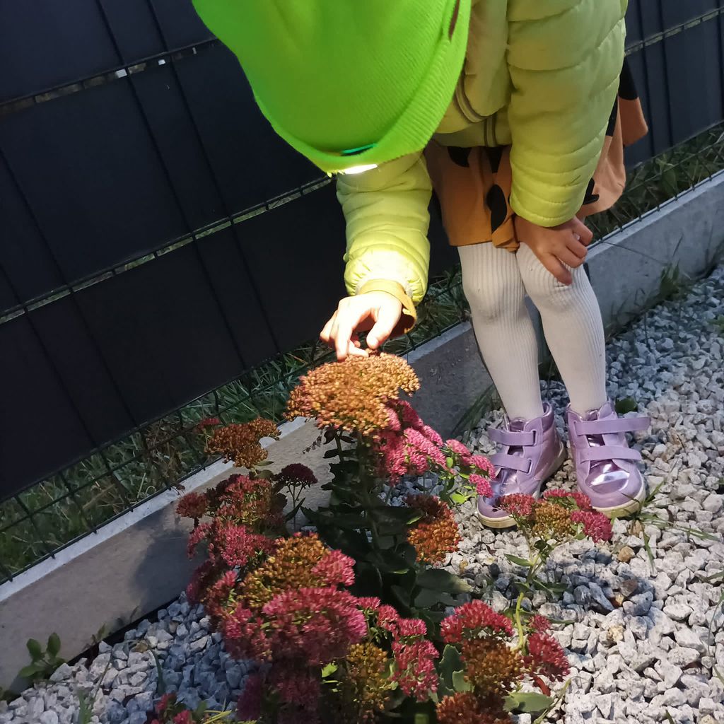 Wintermütze mit Taschenlampe - gelb Trizand 22664 Produktbild 3