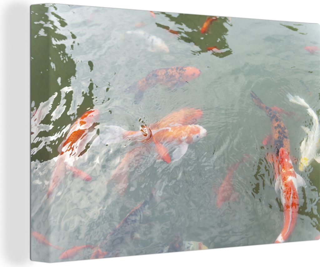 OneMillionCanvasses - Leinwandbilder - 140x90 cm, Eine Gruppe von Koi-Karpfen in einem Teich, Wandbilder Kunstdruck Wanddekoration - Foto auf Lei...