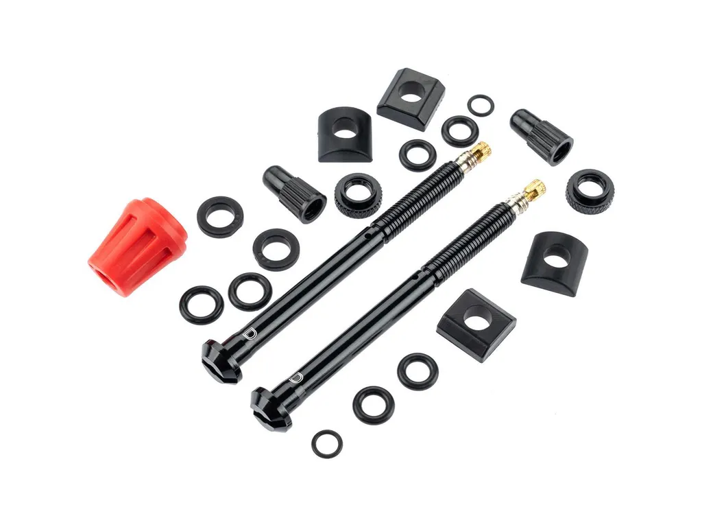 Valve de remplacement pour capteur de pression QUARQ TyreWiz version 2