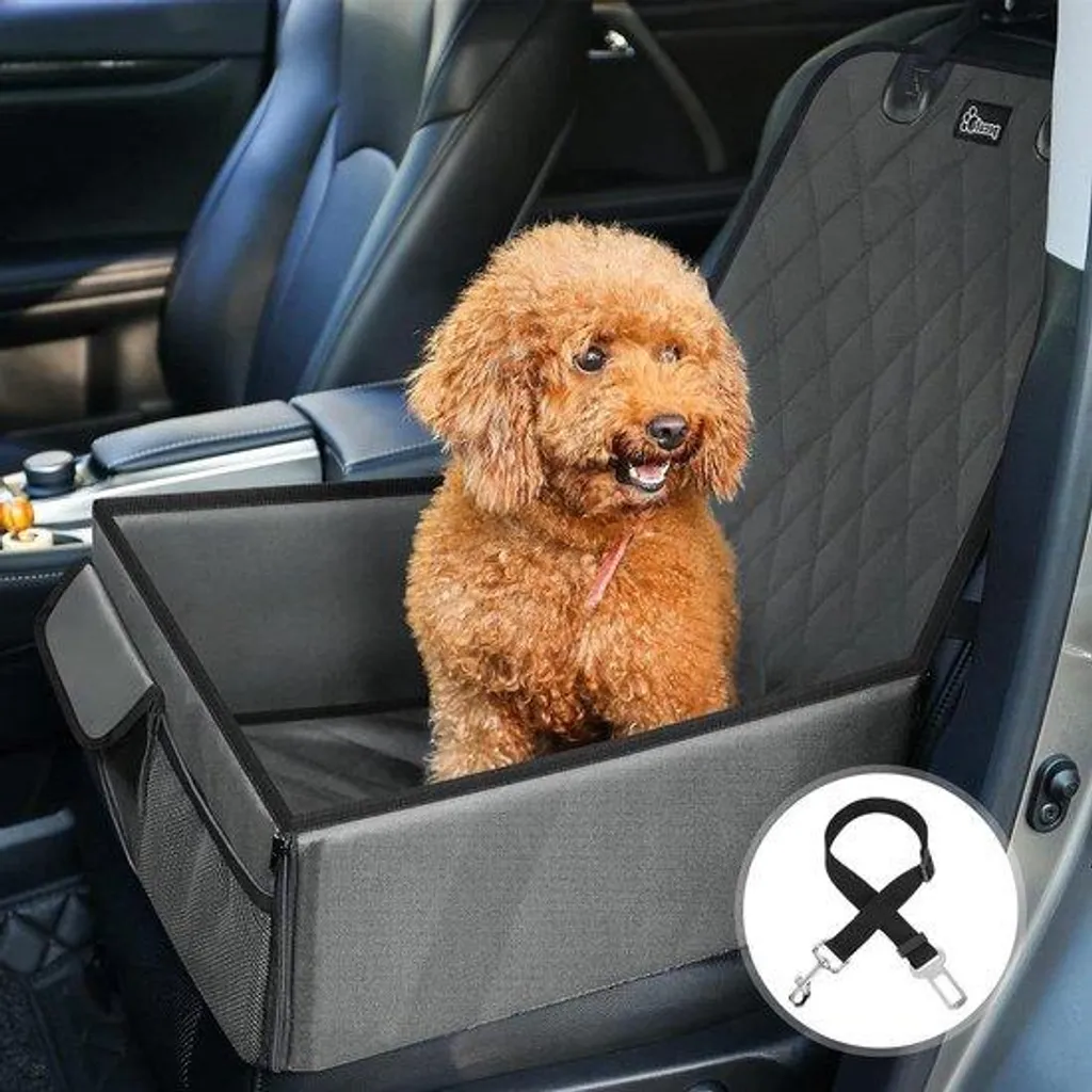 Cage de transport voiture grise sécurisée par ceinture de sécurité