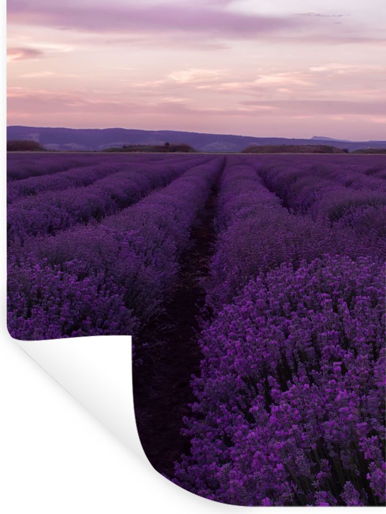 MuchoWow Wandtattoo Wandsticker Wandaufkleber Lavendel - Lila - Blumen - Natur 90x120 cm Selbstklebend und Repositionierbar - Faltenfrei