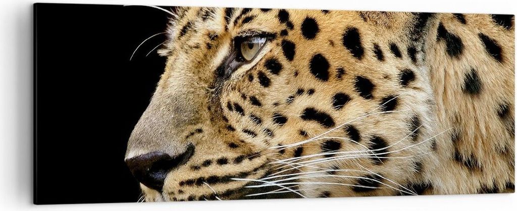Bild auf Leinwand - Leinwandbild - Tiere Leopard wilde Katze wilde Tiere - 140x50cm - Wand Bild - Wanddeko - Leinwanddruck - Bilder - Kunstdruck - ...