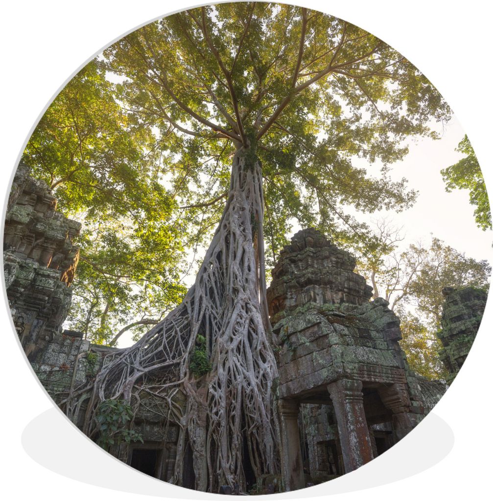 MuchoWow Rundes Wandbild - Runde Bilder Baumwurzeln in Ta Prohm bei Angkor Wat Ø 60 cm Kreis Wanddekoration Kunststoff - Wandkreis - Wandschmuck...