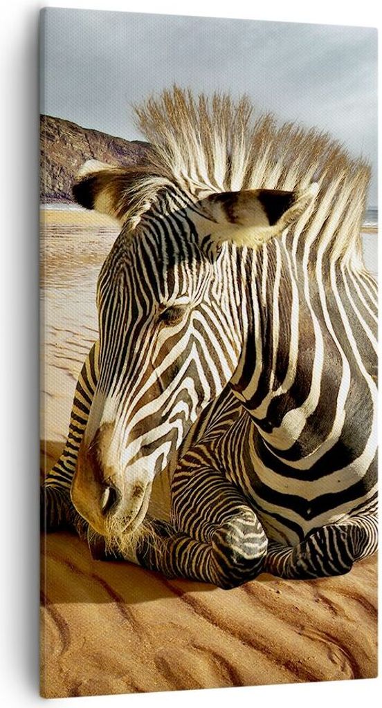 Bild auf Leinwand - Leinwandbild - Zebra Strand Landschaft - 55x100cm - Wand Bild - Wanddeko - Leinwanddruck - Bilder - Kunstdruck - Wanddekoration...