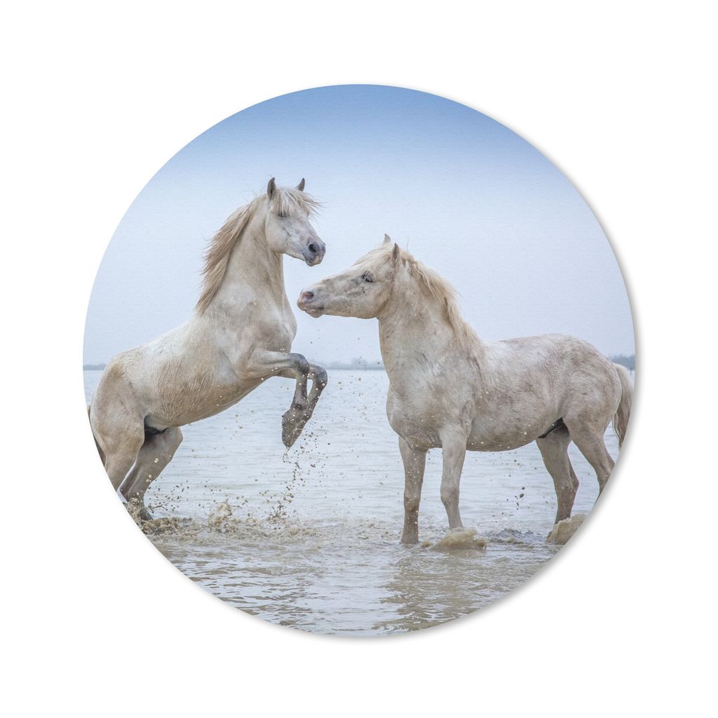 MuchoWow Mauspad Mousepad Zwei Pferde im Wasser in der Camargue 30x30 cm - Mousepads - Maus Mat - Pad - Mausunterlage - Tischunterlage - Schreibt...