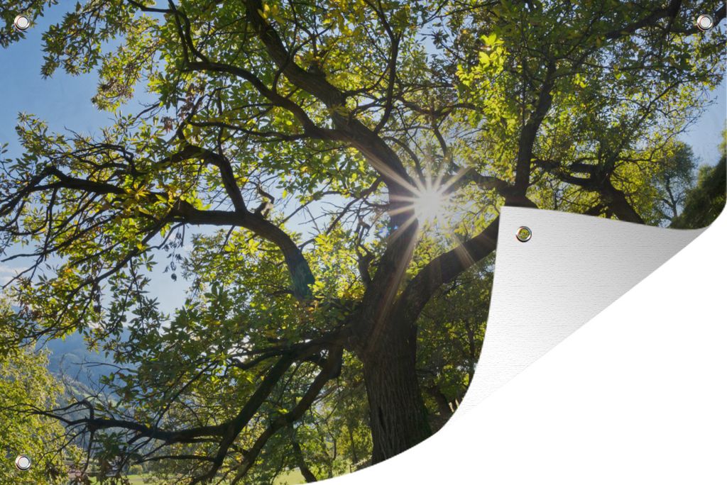 MuchoWow 120x80 cm Outdoor-Poster Gartendeko Sichtschutz Garten Poster für den Garten Ein Kastanienbaum im Herbst in Italien