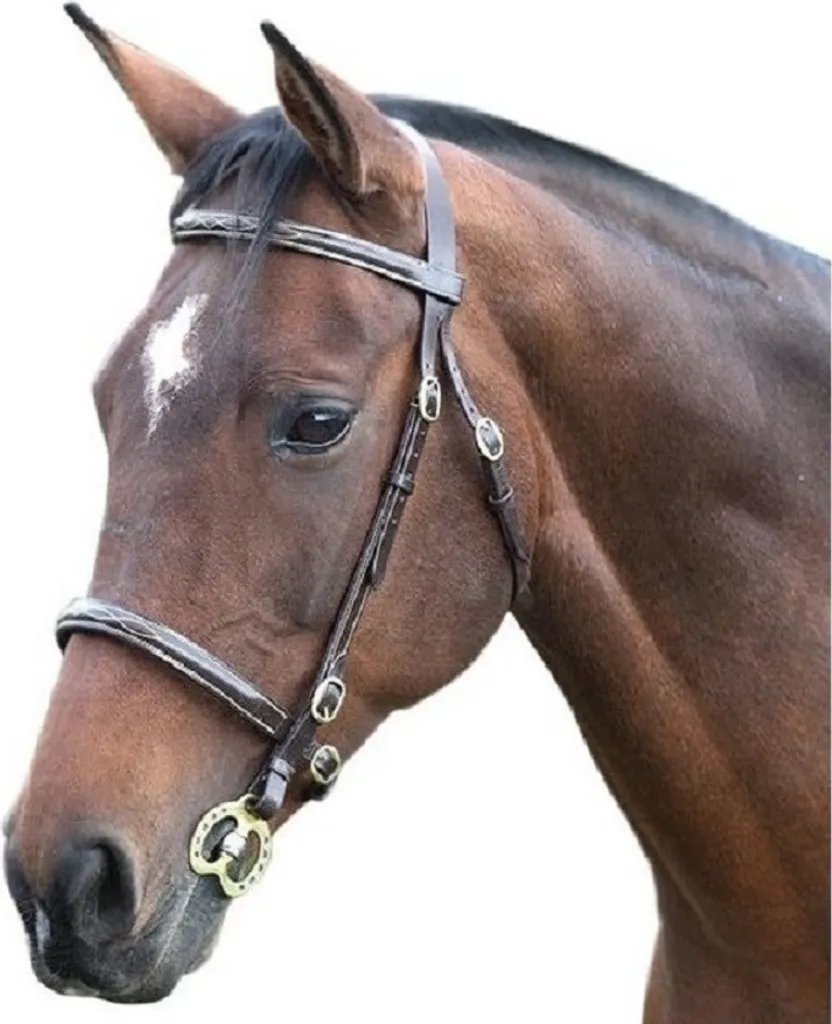 Filet de Bridon en Cuir pour Poney Marron - Modèle Blenheim ER250 Fancy