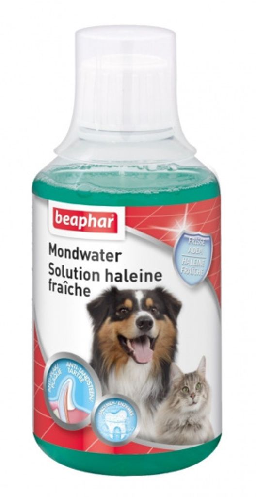 Beaphar Mondwasser hond/kat 250ml