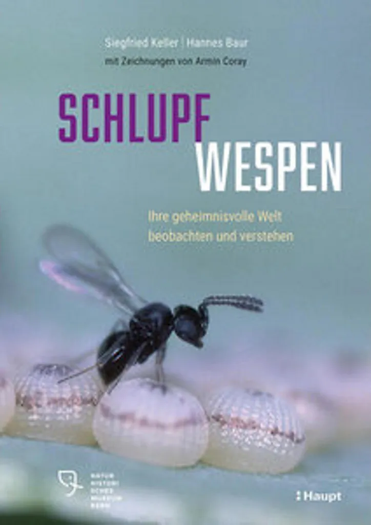 Stopper l'infestation de mites sans produits chimiques - Schlupfwespen