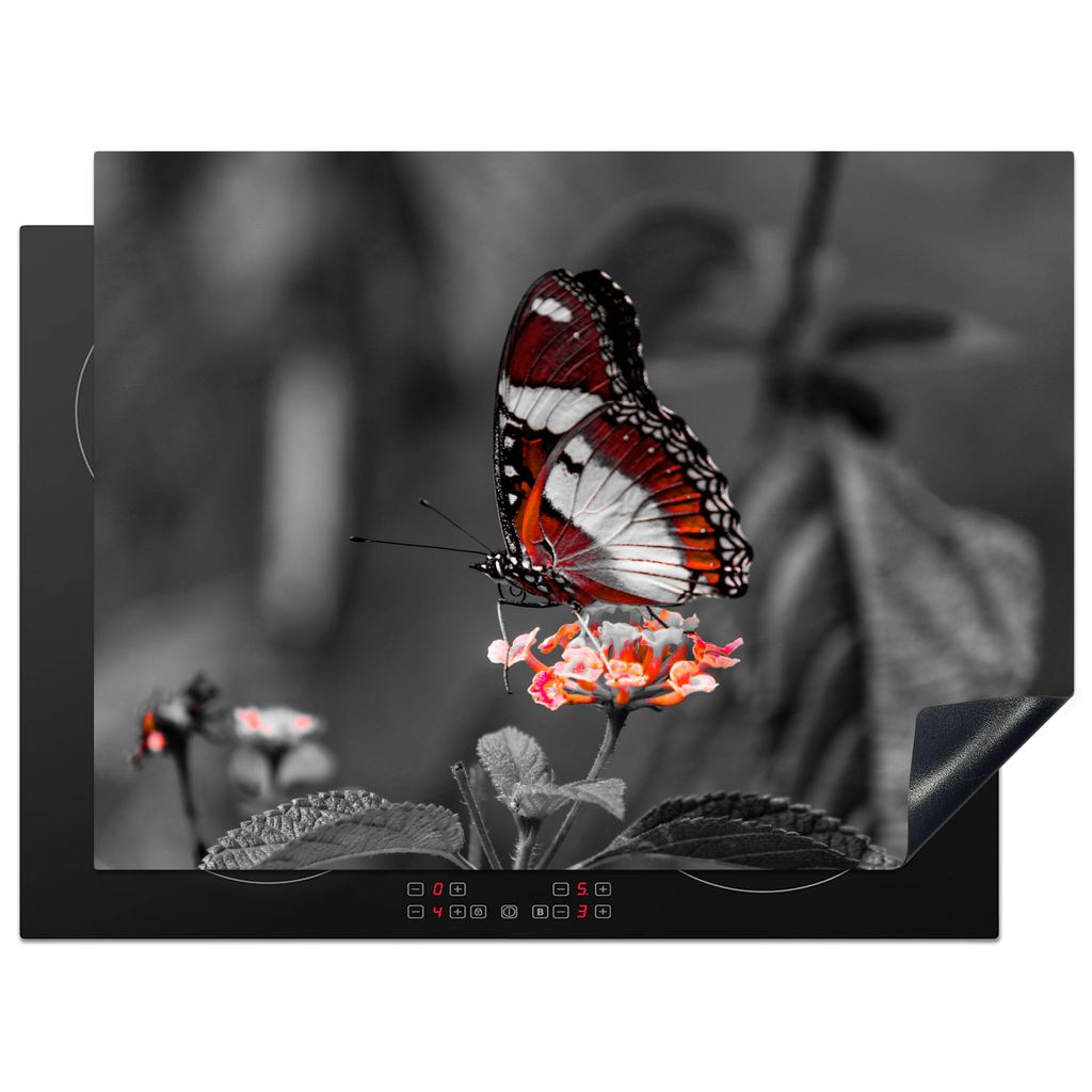 KitchenYeah Herdabdeckplatte Schmetterling - Tiere - Blumen - Schwarz und weiß - Orange , 70x52cm, Küche Deko, Glaskeramikkochfeld Herdabdeckun...