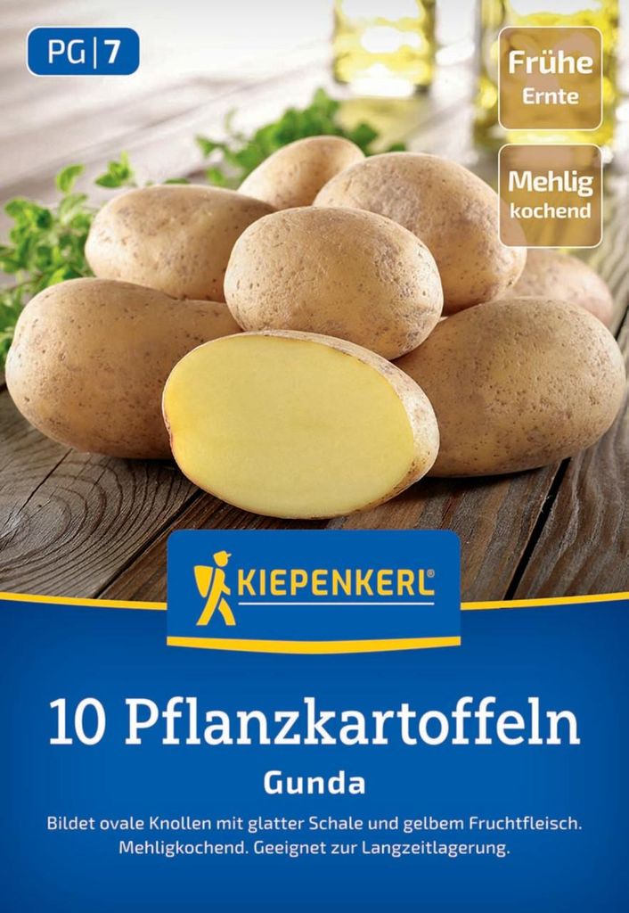 Kiepenkerl Pflanzkartoffel Gunda Solanum tuberosum 10 Stück