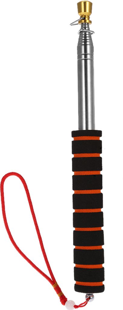 Brandneuer 2 m/2,5 Meter Außenfahnenmast Edelstahl Teleskop-Fahnenmast für Lehrer Lehrzeiger Reiseleiter Banner 79" / 98" Fahnenmast