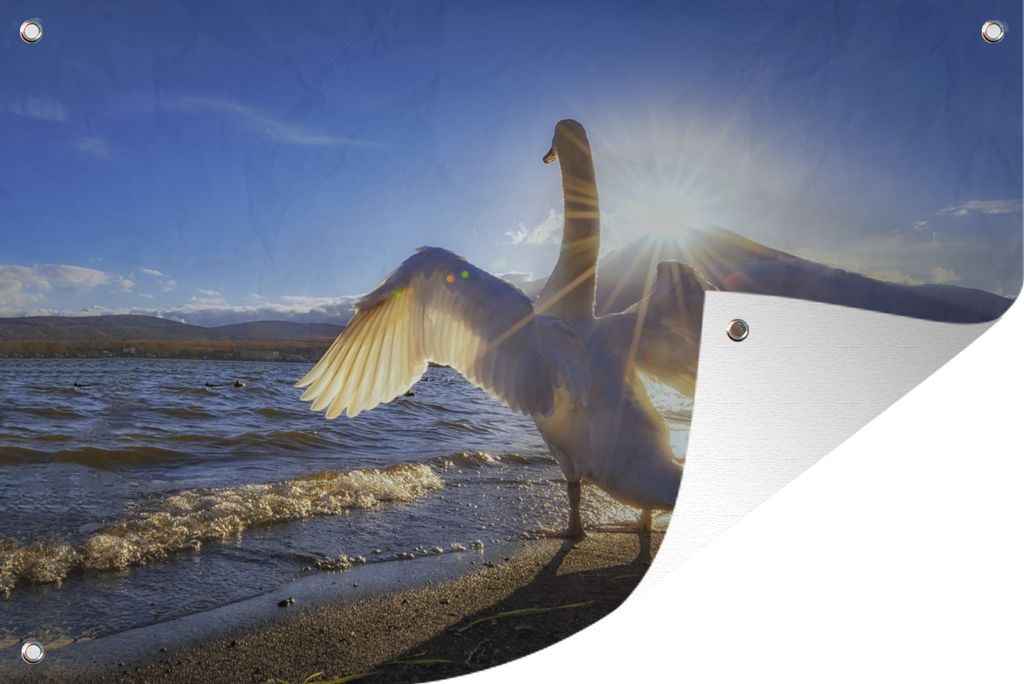 MuchoWow 60x40 cm Outdoor-Poster Gartendeko Sichtschutz Garten Poster für den Garten Schwan - Strand - Sonne