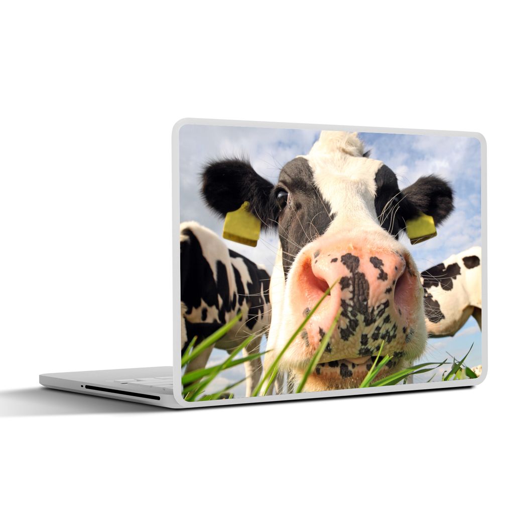 MuchoWow Laptop Aufkleber Sticker Cover Kuh - Bauernhof - Gras - Tiere 30x22 cm - Laptop-Sticker
