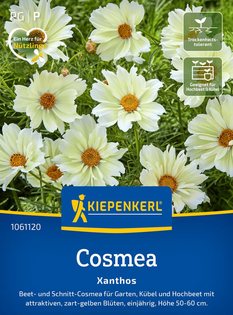 Kiepenkerl Cosmossamen Xanthos Cosmos bipinnatus 25 Pflanzen
