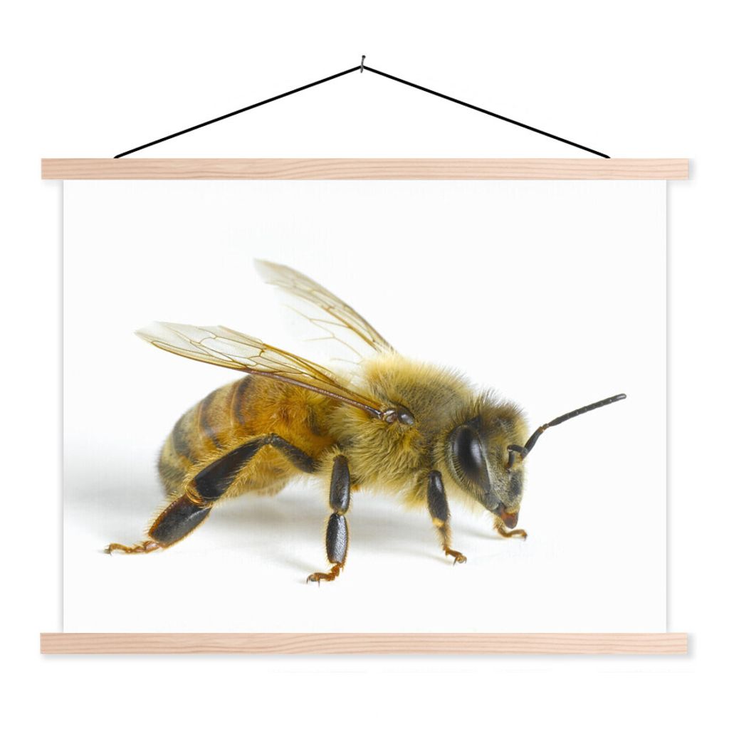 MuchoWow Textilposter Bienen - Insekten - Flügel 60x45 cm mit holzfarbenen Rahmen - Bild