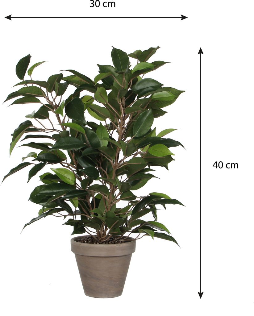 Mica Decorations Ficus Natasja Kunstpflanze Grn